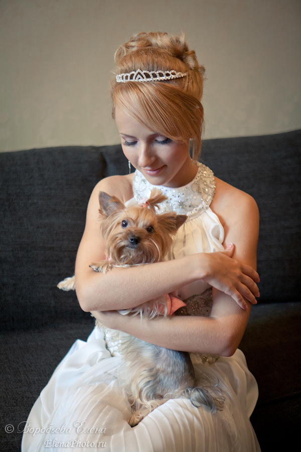 Невеста с любимой собачкой